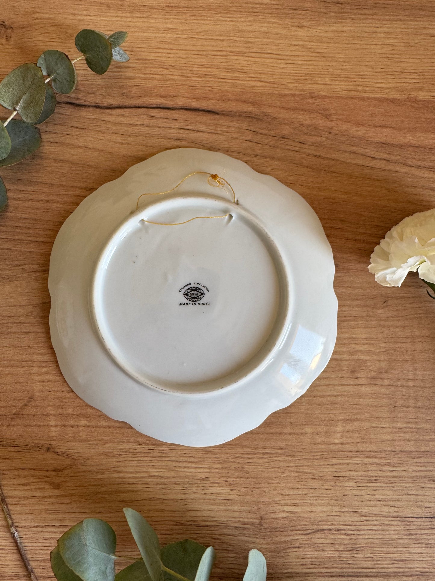 Assiette parlante drôle