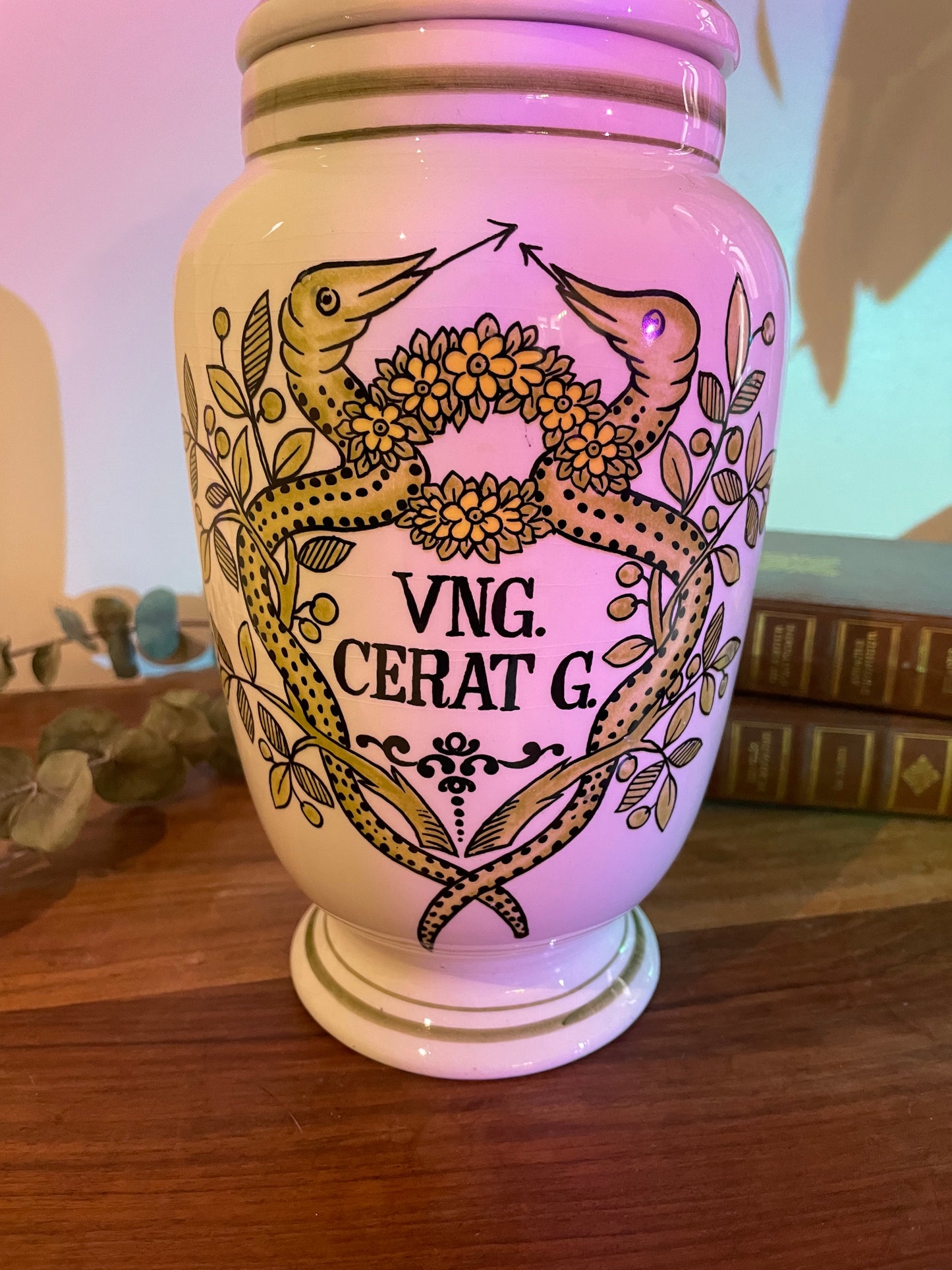 Pot à pharmacie vintage en ceramique serpents