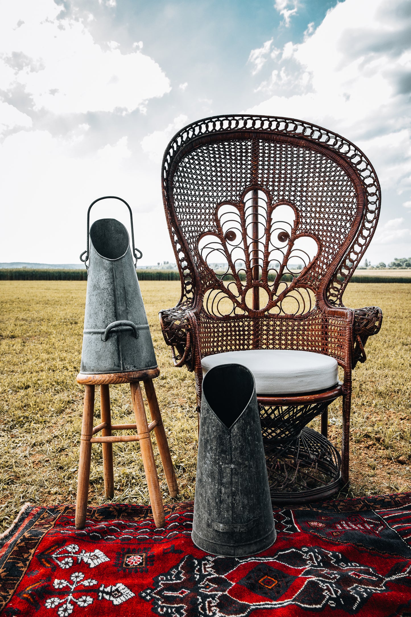 Lot décorations en allu, pot à lait, arrosoir, ancien pot à charbon