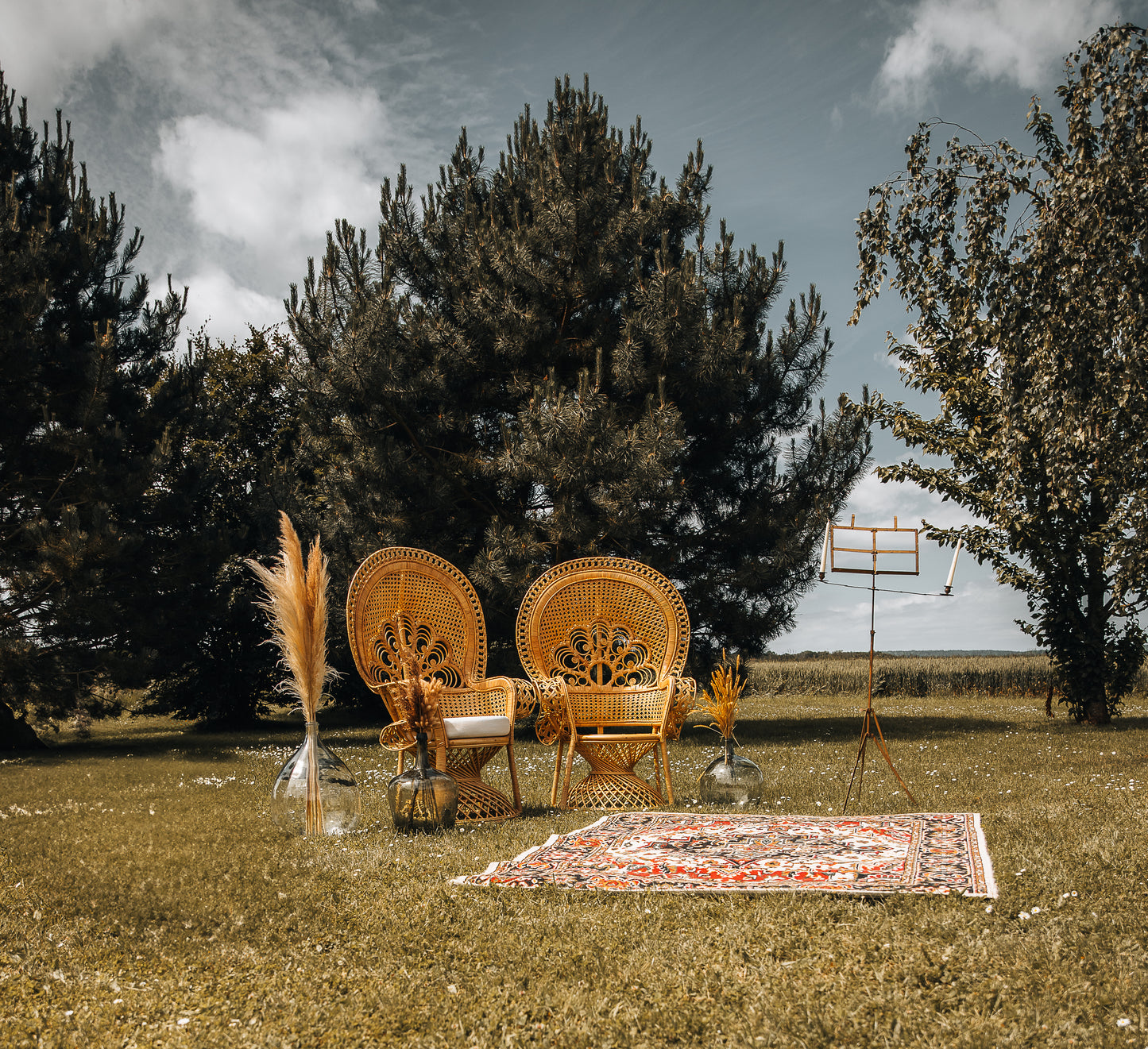 Lot de deux fauteuils Emmanuelle