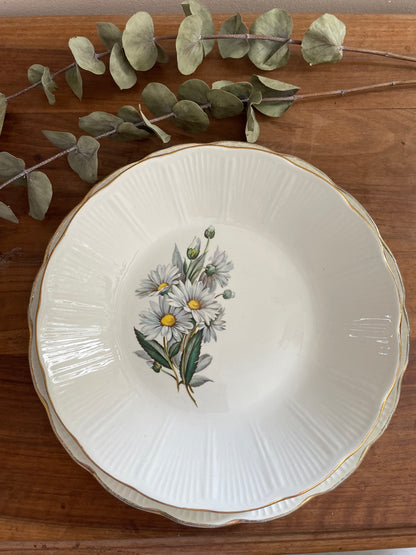 Service assiettes plates et creuses l’Amandinoise