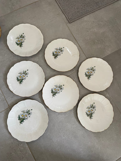 Service assiettes plates et creuses l’Amandinoise