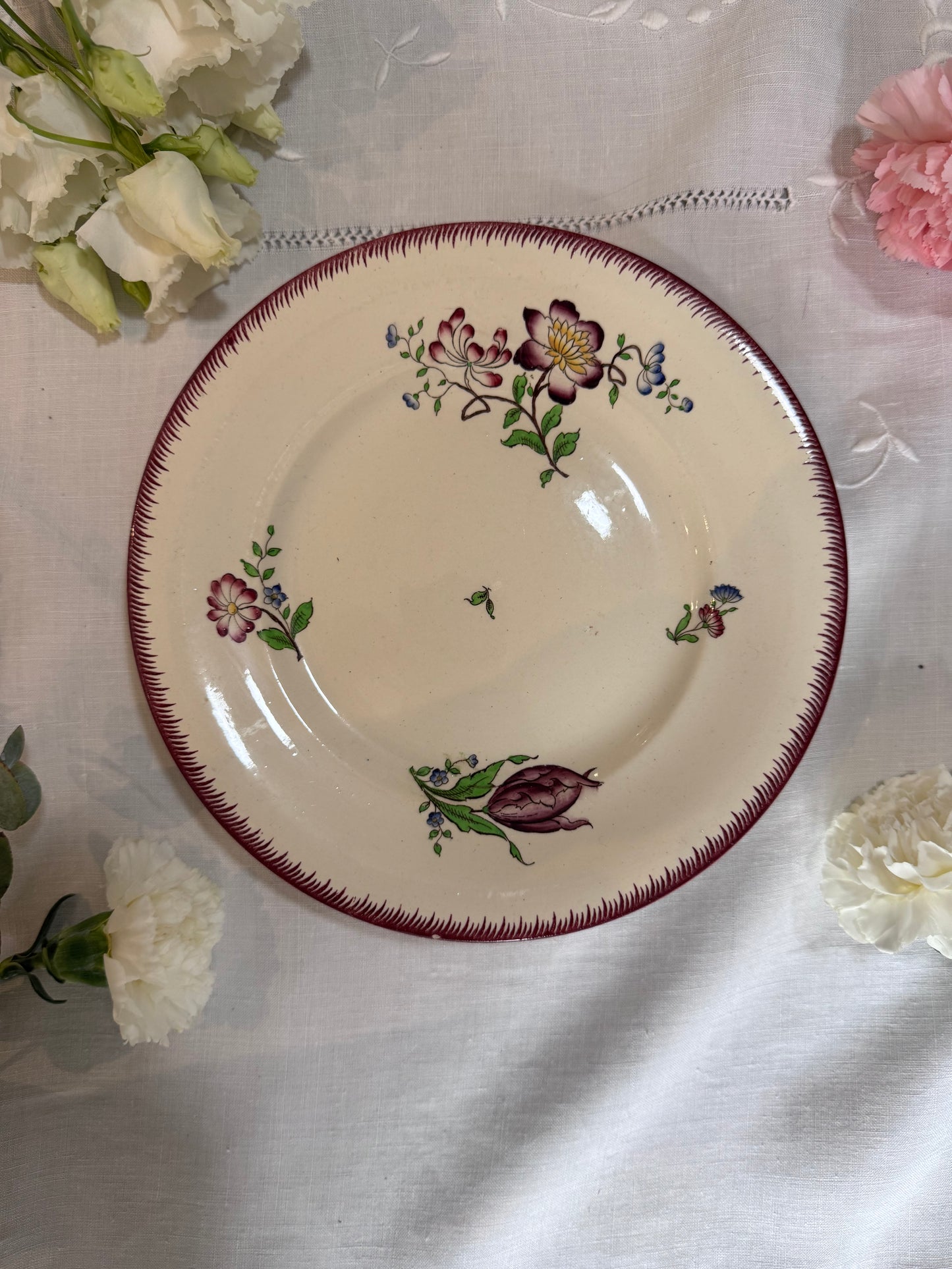 Coupe sur pied Sarreguemines