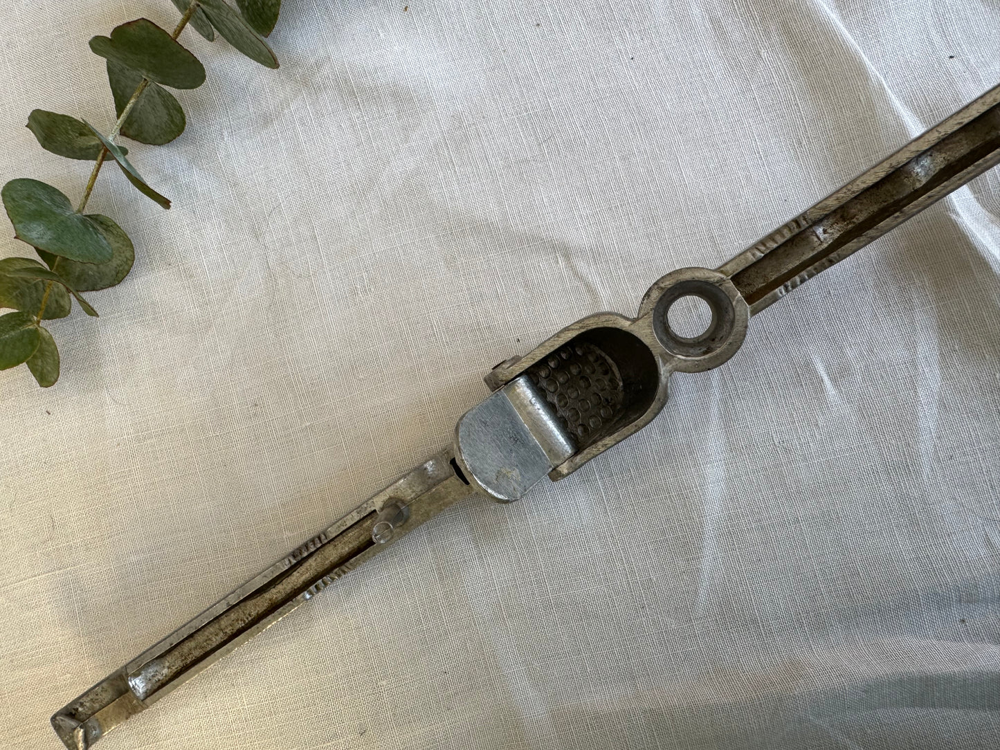 Presse ail casse noix et dénoyauteur vintage