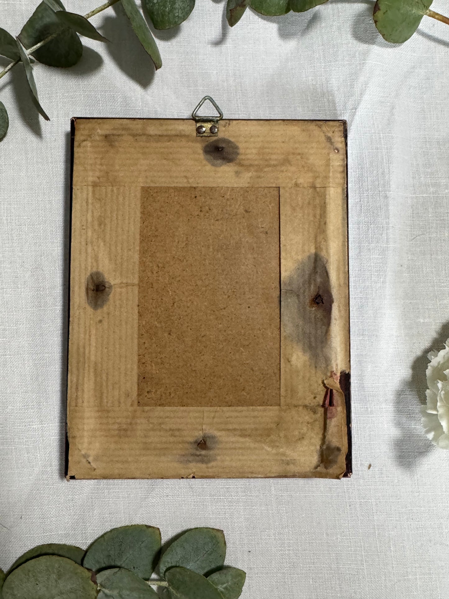 Cadre vintage anémone