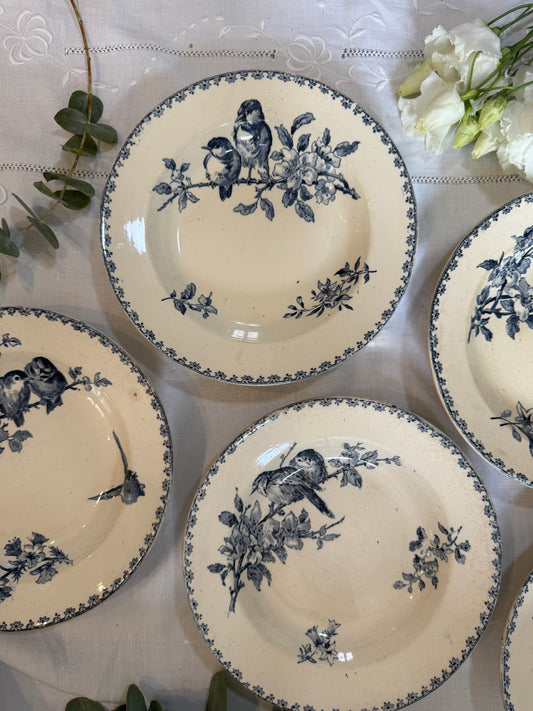 Assiettes Sarreguemines Favori