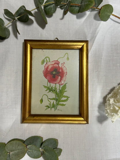 Cadre doré coquelicot