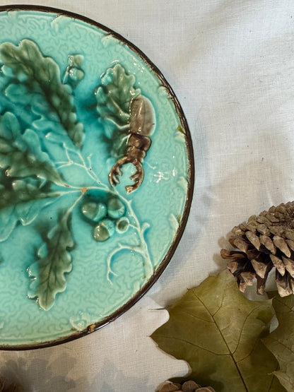 Assiette barbotine scarabée rare