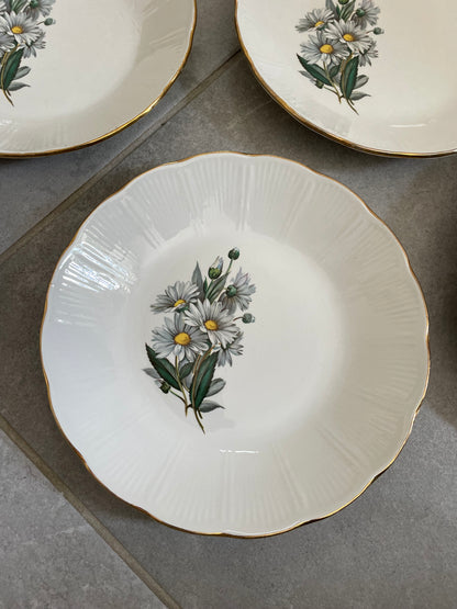 Service assiettes plates et creuses l’Amandinoise