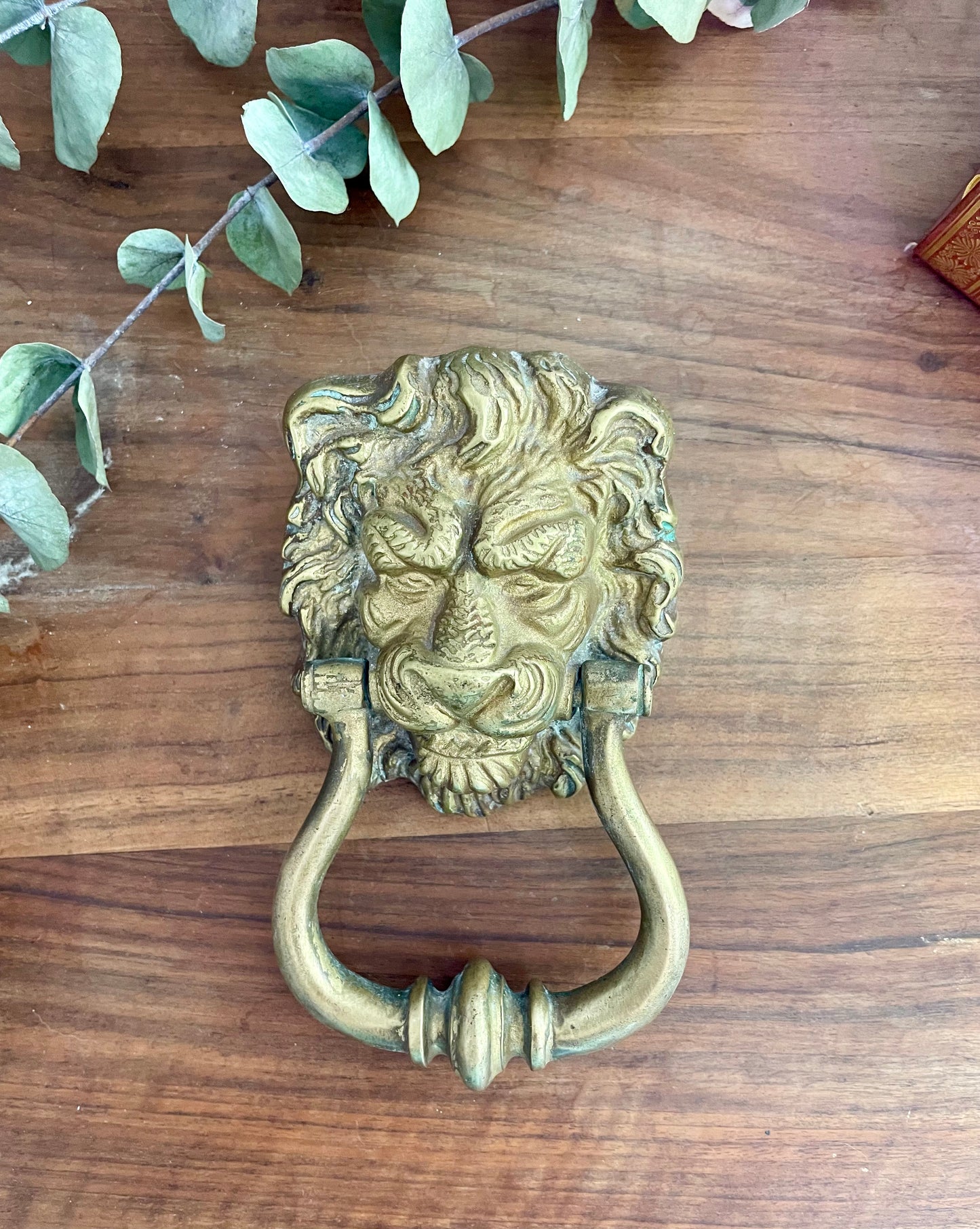 Heurtoir tête de lion en bronze vintage