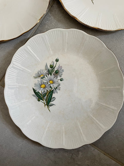 Service assiettes plates et creuses l’Amandinoise