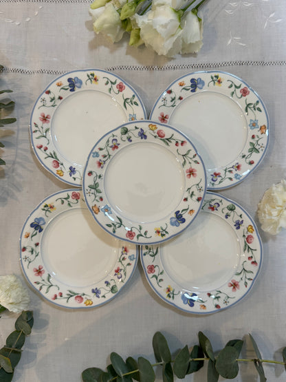 Assiettes Mariposa Villeroy and Boch