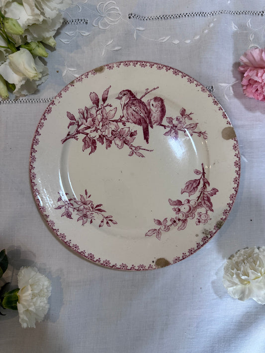 Assiette Sarreguemines Favori