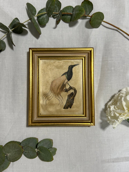 Cadre oiseau du paradis