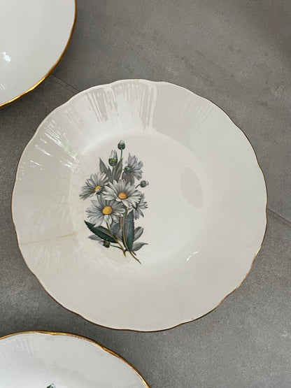 Service assiettes plates et creuses l’Amandinoise