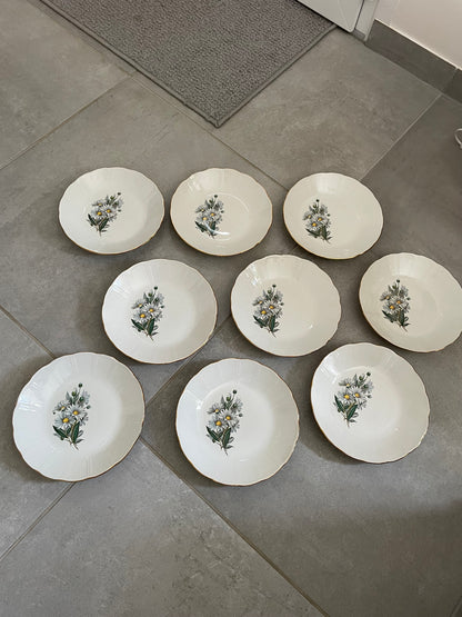 Service assiettes plates et creuses l’Amandinoise