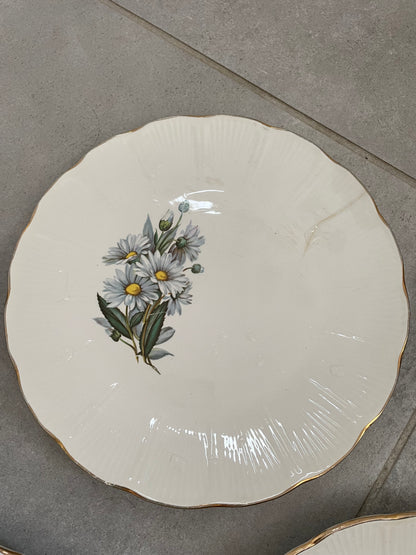 Service assiettes plates et creuses l’Amandinoise