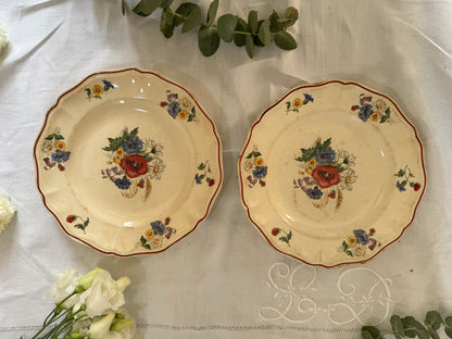 Assiettes Sarreguemines x2