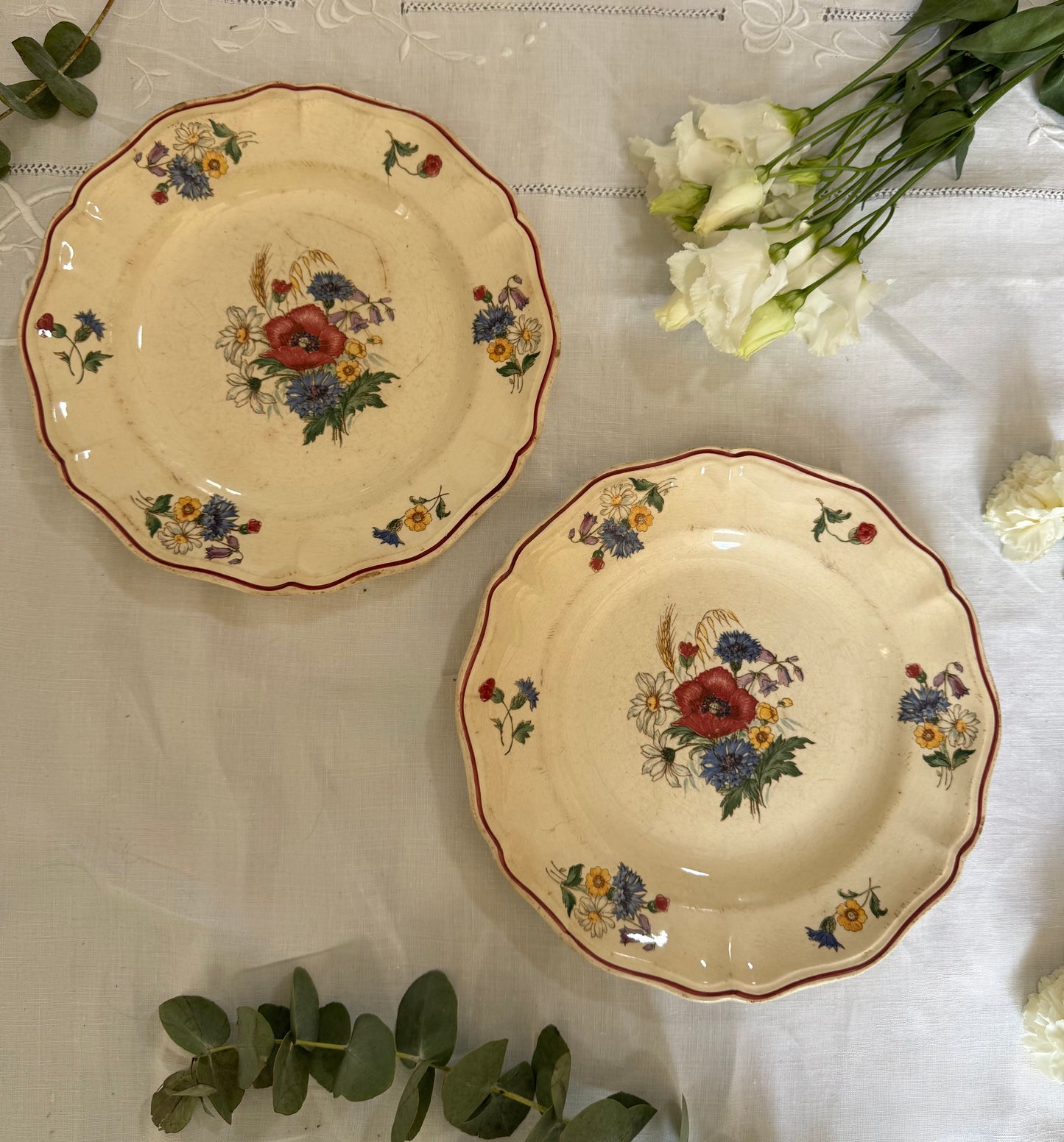 Assiettes Sarreguemines x2