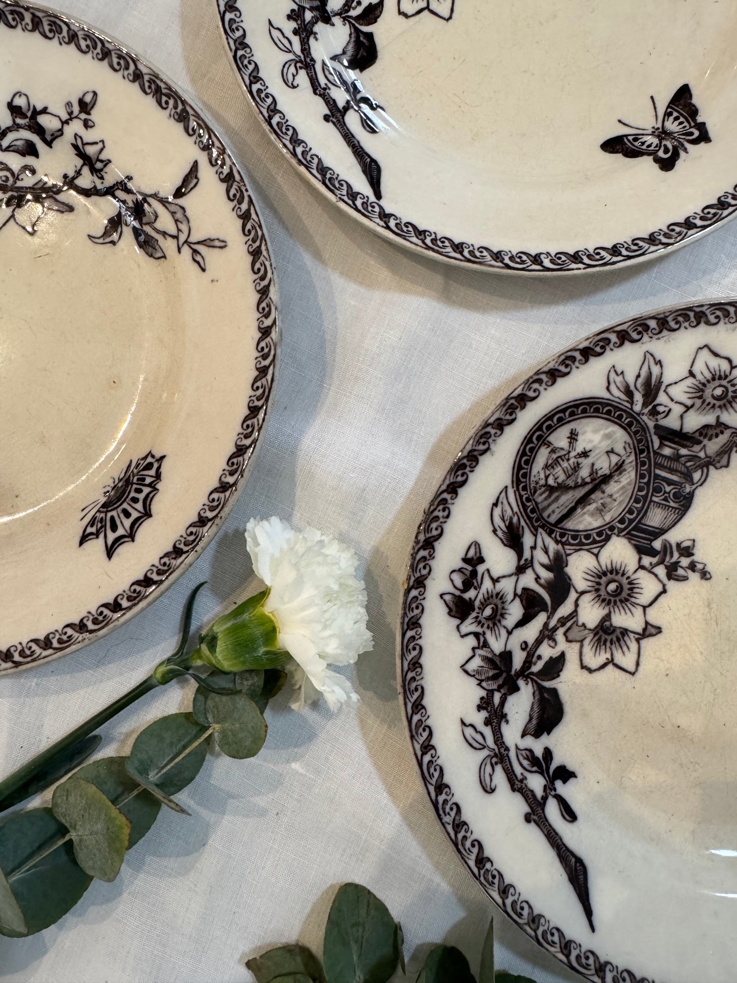 Assiettes Terre de Fer modèle Wallace Sarreguemines