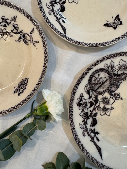 Assiettes Terre de Fer modèle Wallace Sarreguemines