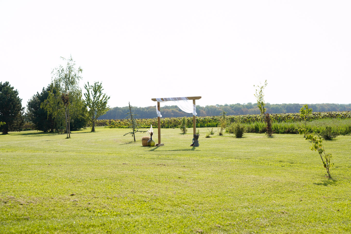 Arche en bois