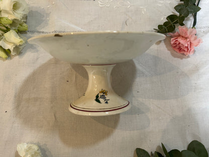 Coupe sur pied Sarreguemines