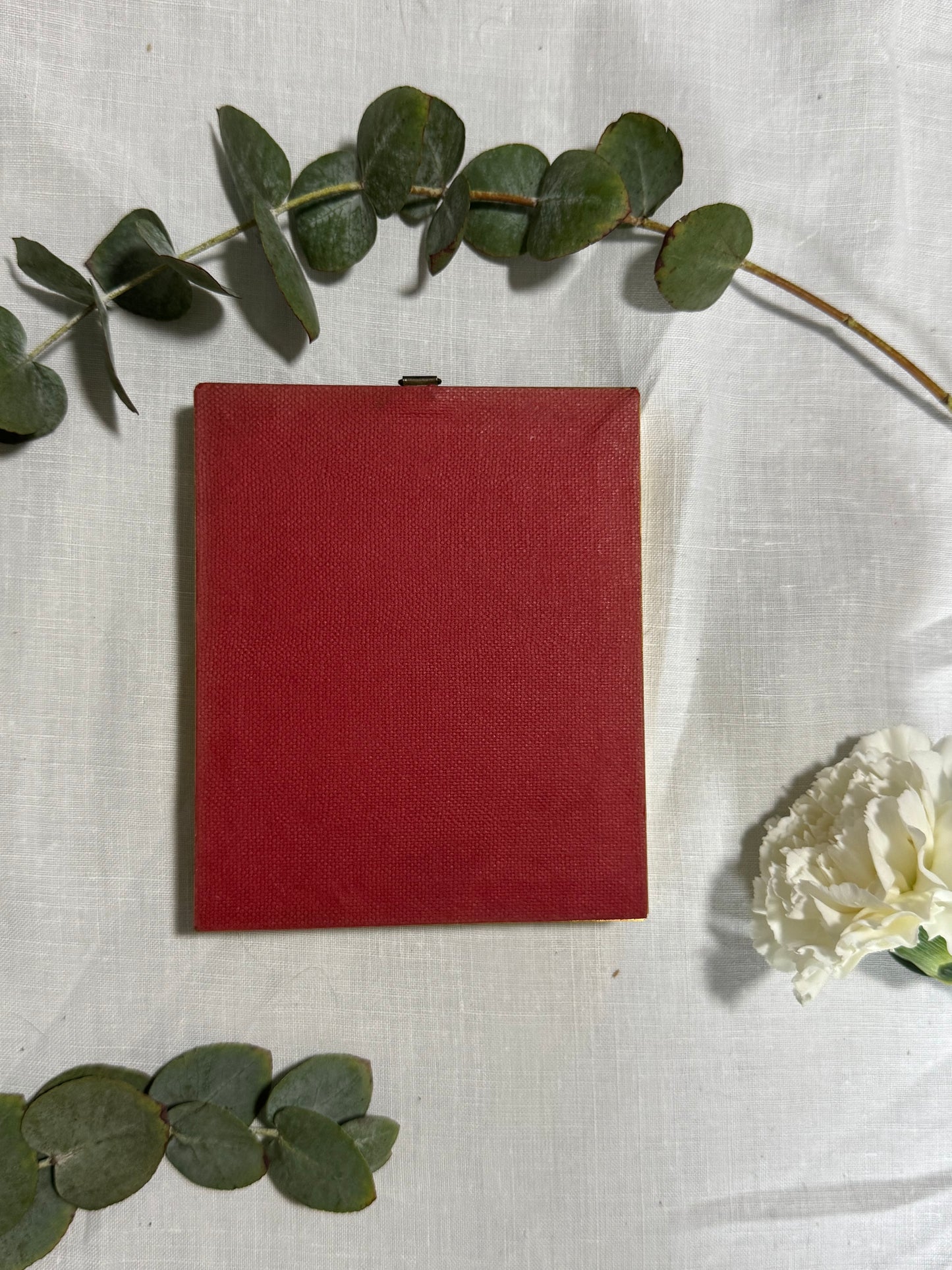 Cadre oiseau du paradis