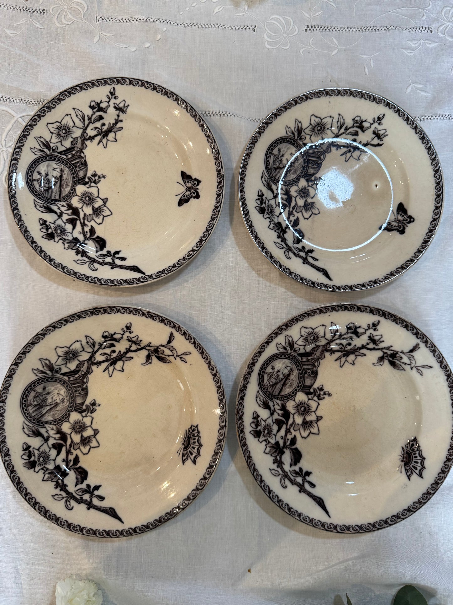 Assiettes Terre de Fer modèle Wallace Sarreguemines