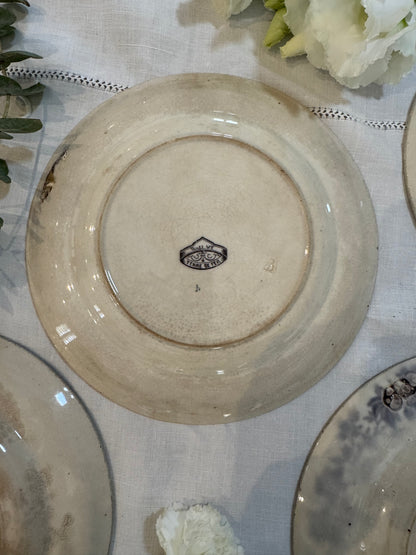 Assiettes Terre de Fer modèle Wallace Sarreguemines
