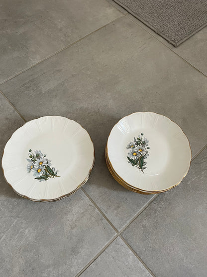 Service assiettes plates et creuses l’Amandinoise