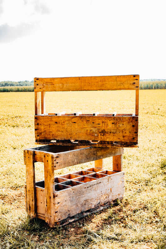 Lot de 3 casiers en bois à bouteilles