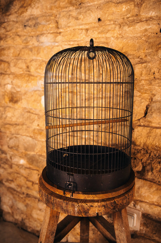 Cage à oiseau